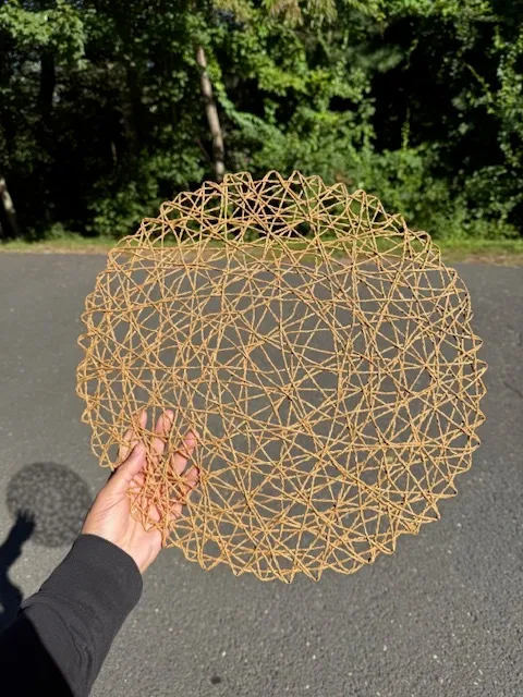 Classic Woven Placemats