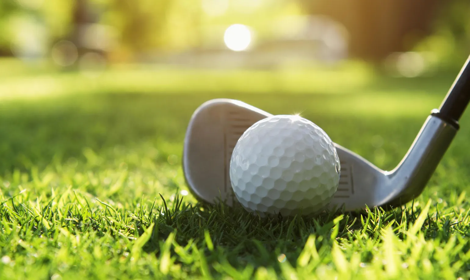 Fore! Love! Dink!