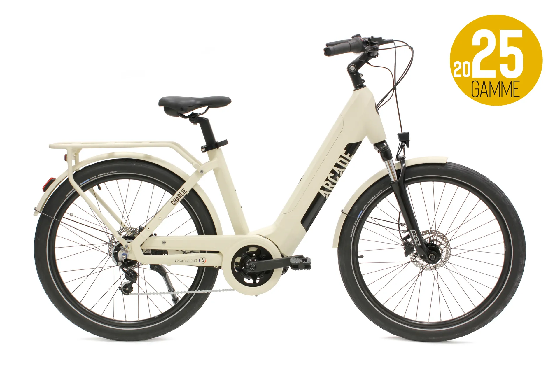 Vélo électrique adulte