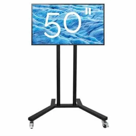 55"Samsung TV On Movable Stand