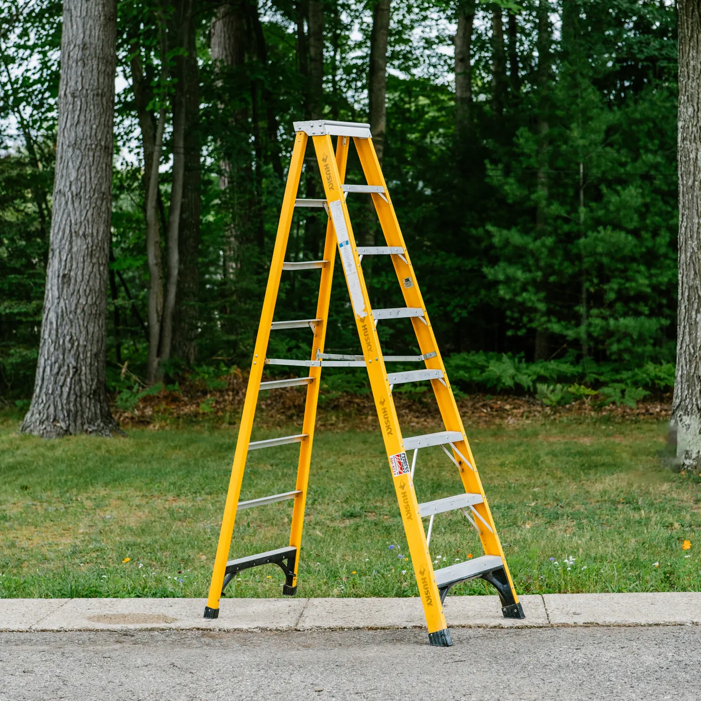 Step Ladder - 8 FT