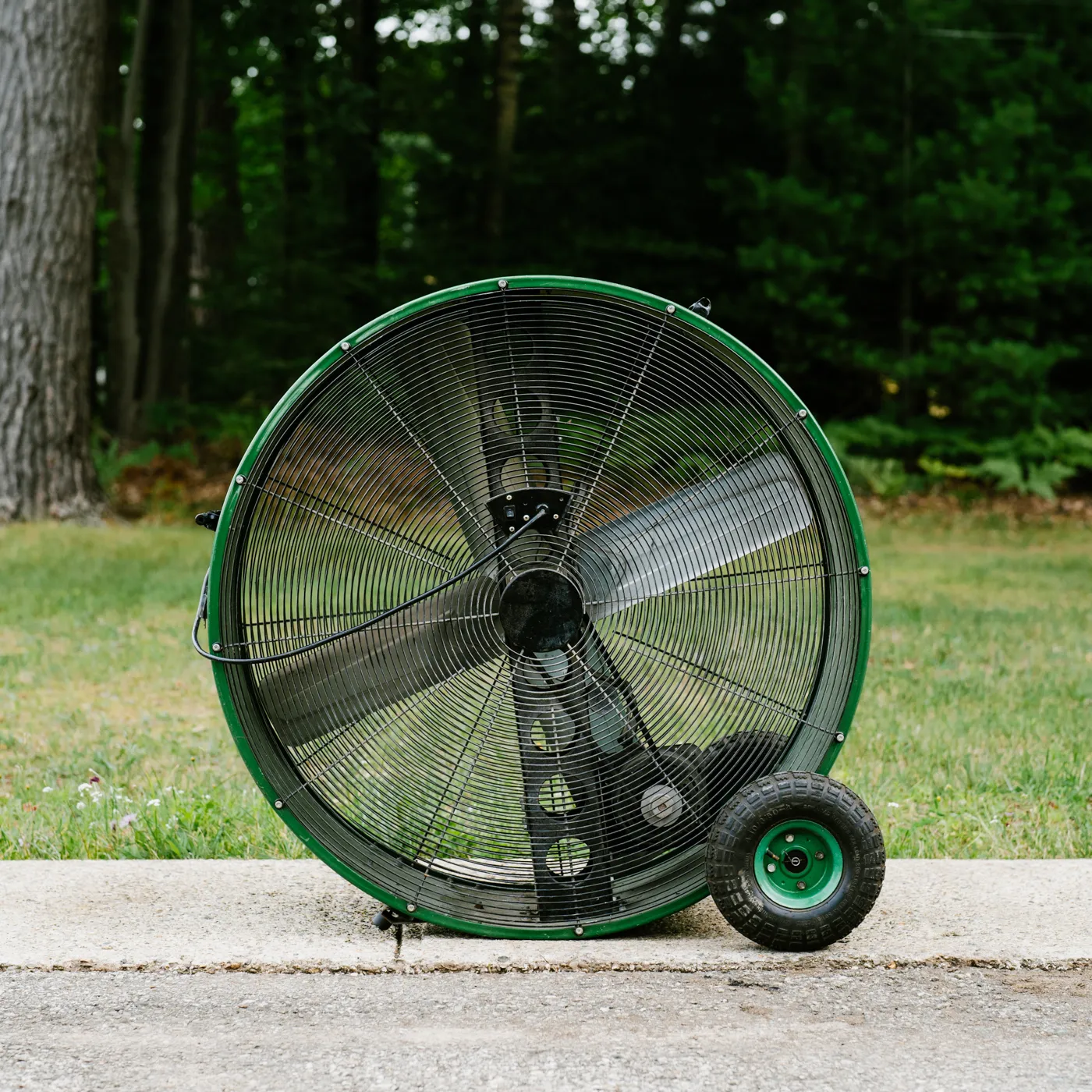 Large Fan