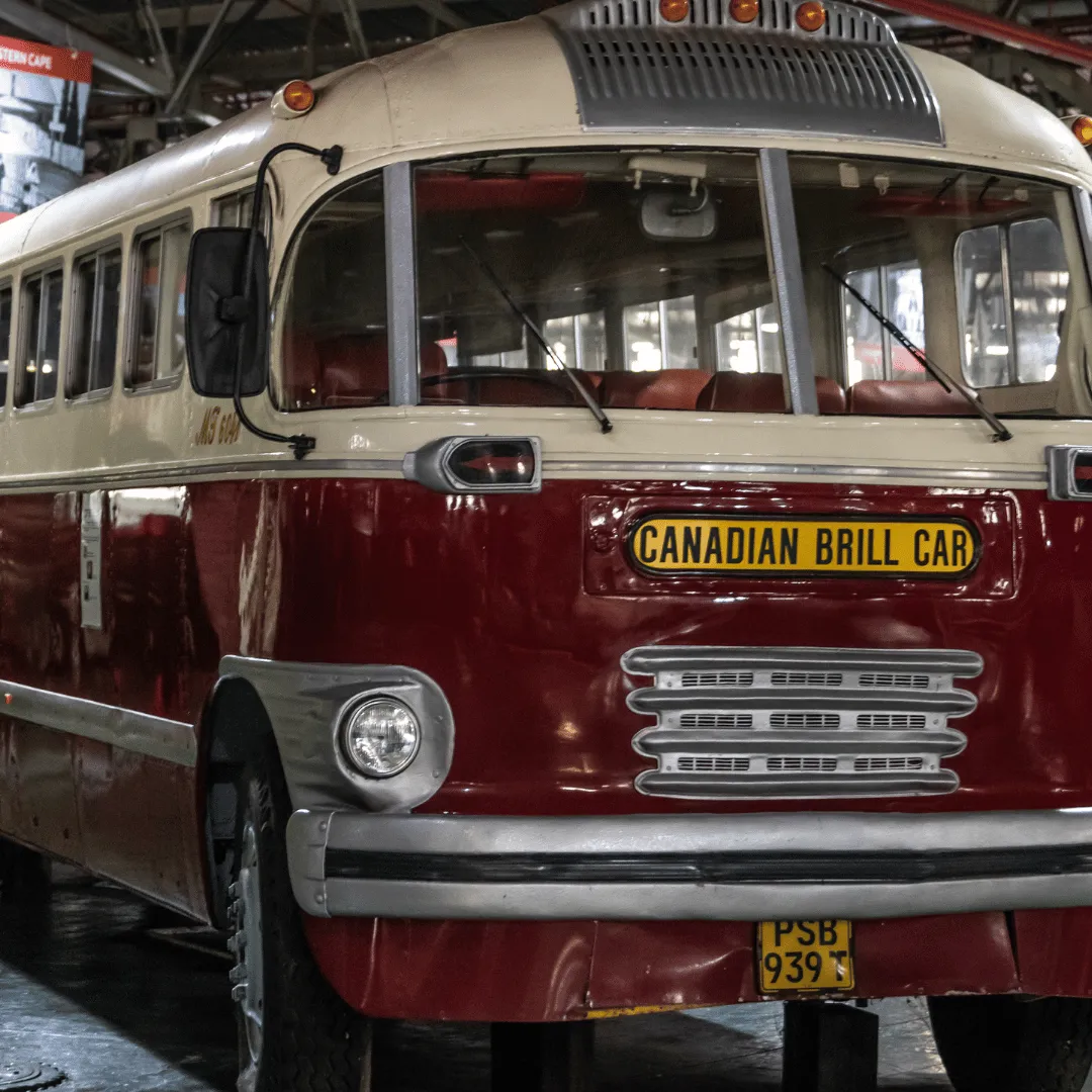 Shuttle service daily from (November 1st thru May 1st)  7 - 12 passengers. Rate per person. Reserve this tour with 30% down at checkout! GIFT VOUCHERS AVAILABLE!