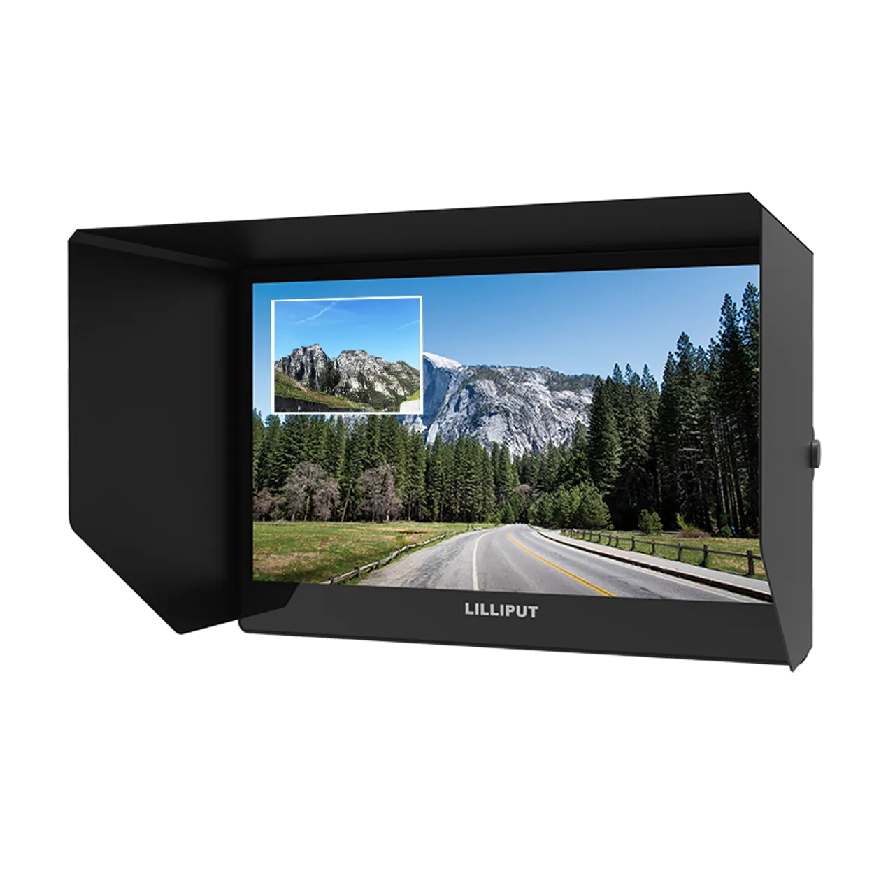 Display - Lilliput A12