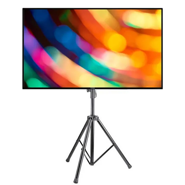 TV 65 pouces sur pied