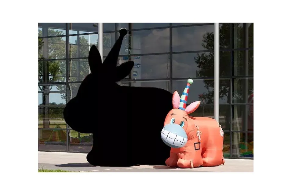 Verhuur: Ezeltje prik