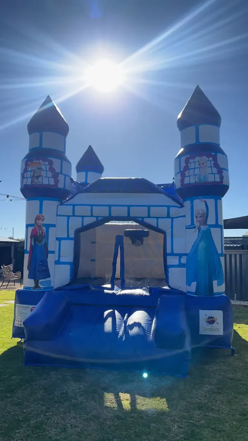 Frozen Princess Castle
