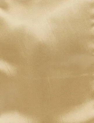 Champagne Satin Runners