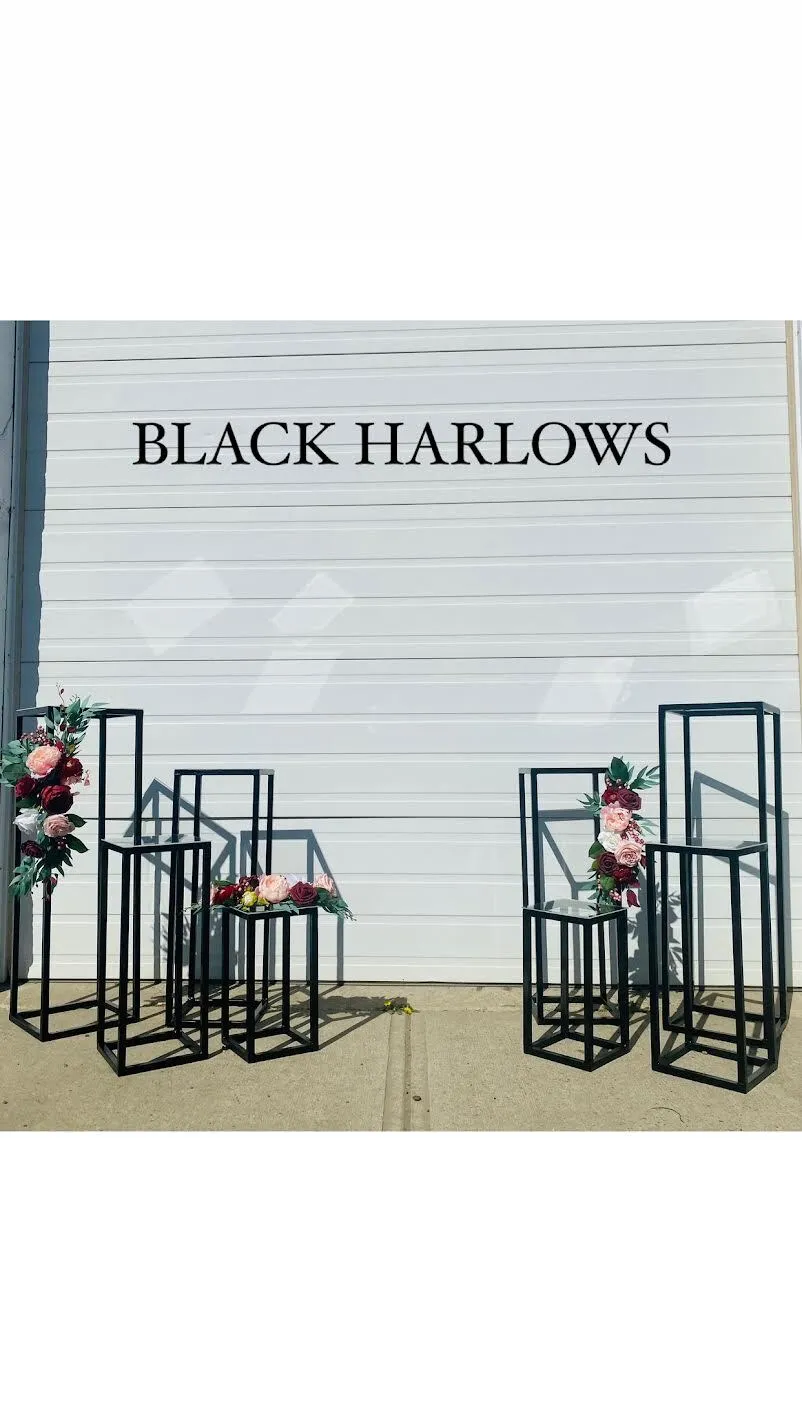 Black Harlow Stands