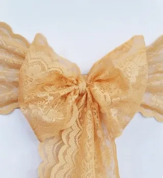 Champagne Lace Sashes