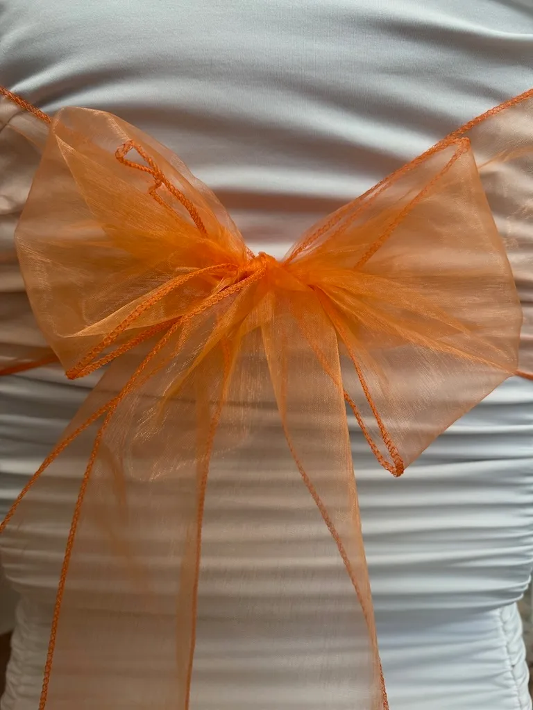 Orange Organza Sashes