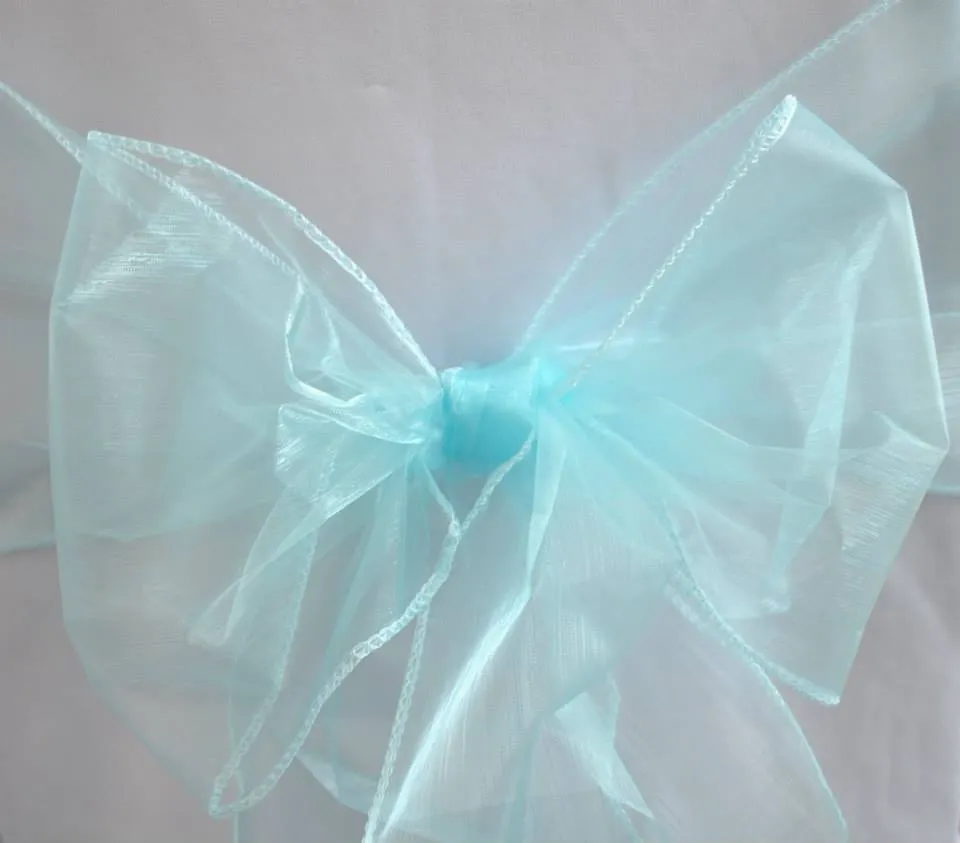 Aqua Organza Sash