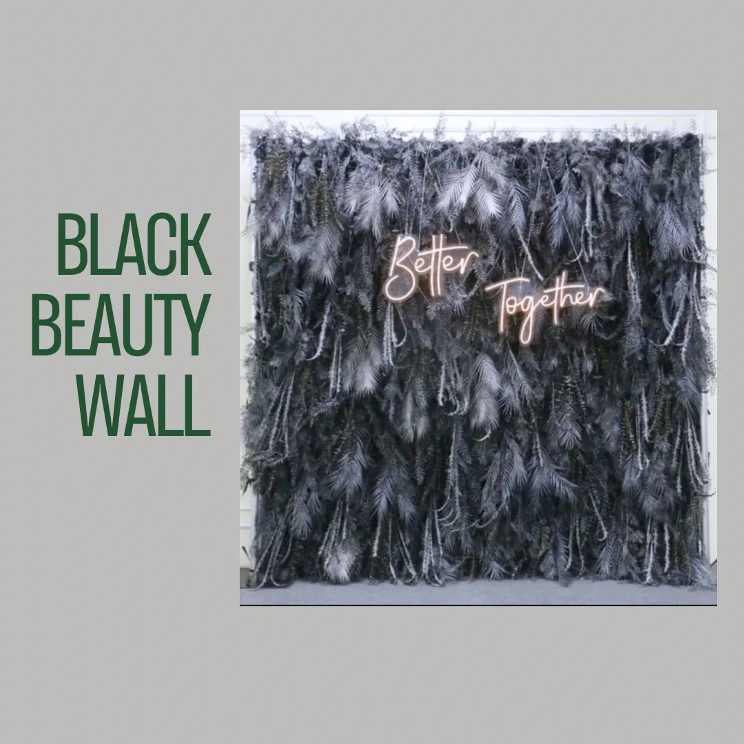 Black Beauty Wall