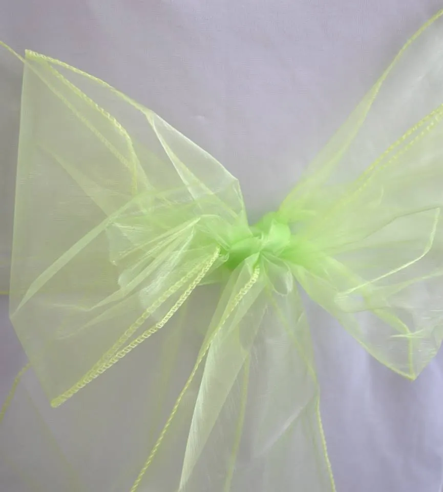 Lime Organza Sashes