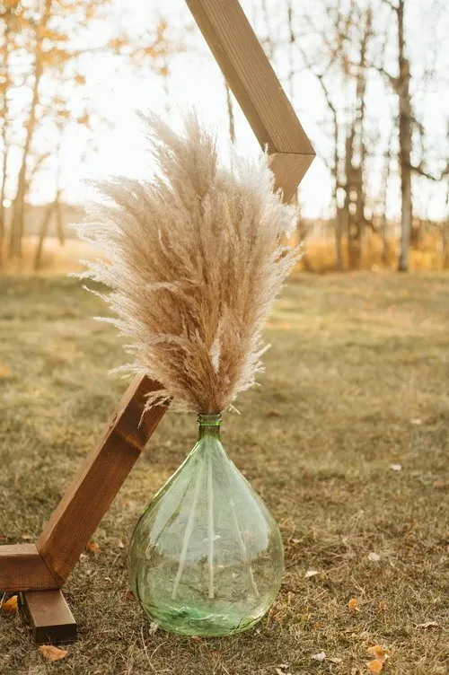 Tall Pampas Stems