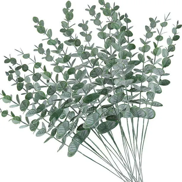 Medium Eucalyptus Stems
