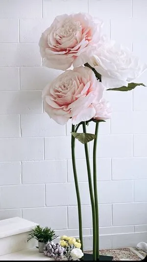 Tall Peonies