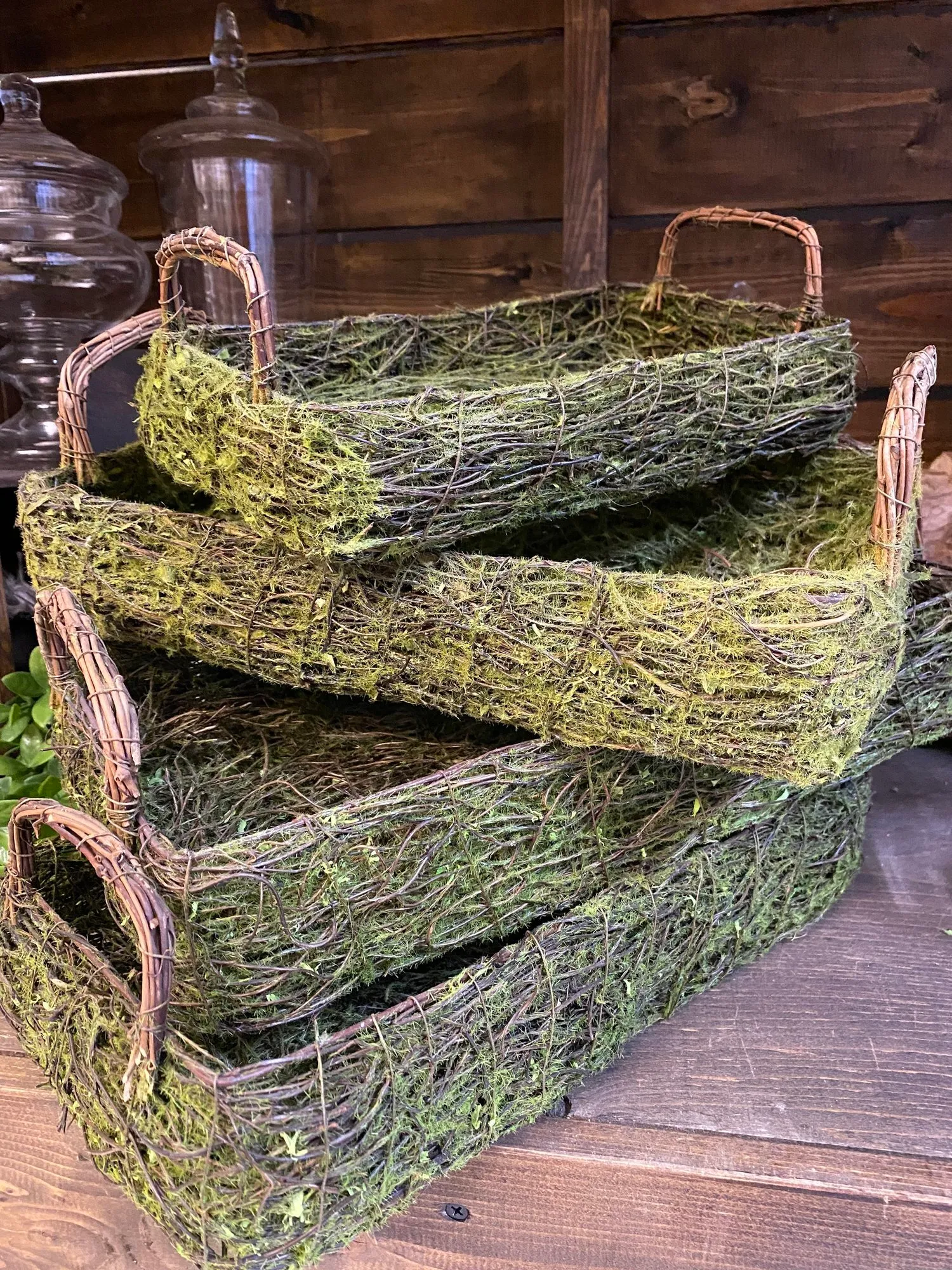 Moss Trays