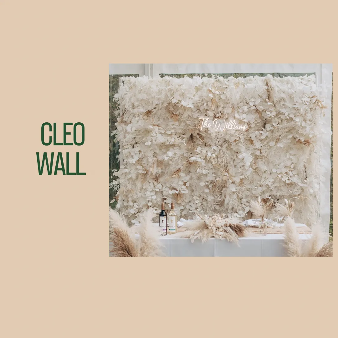 Cleo Wall