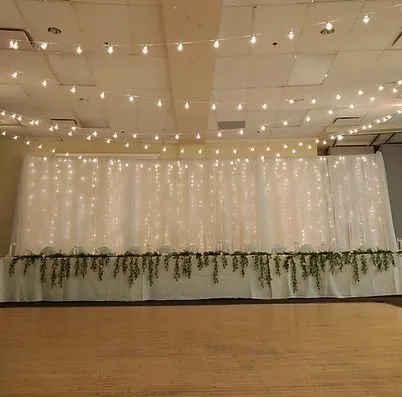 Single Layer Fairylight Backdrop