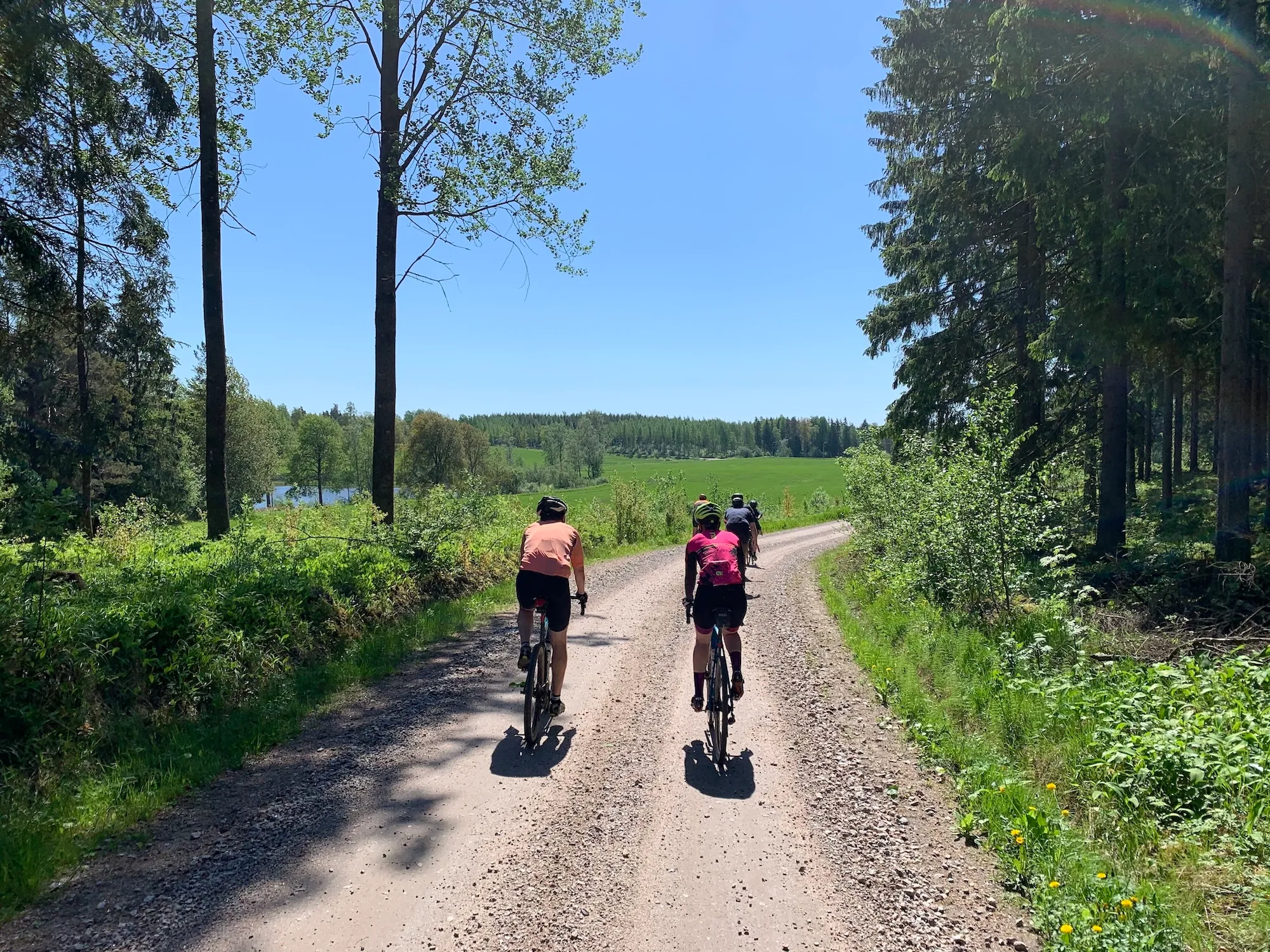 Guided Tour - 1 day - Helsinki / Espoo