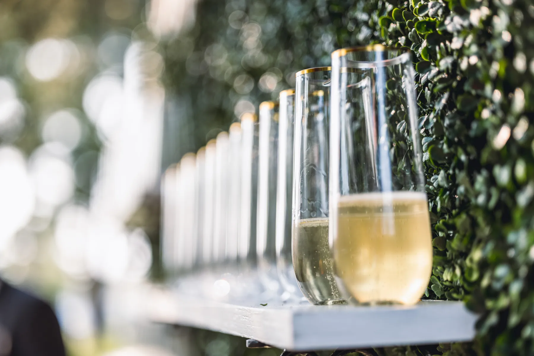 Champagne Hedge Wall