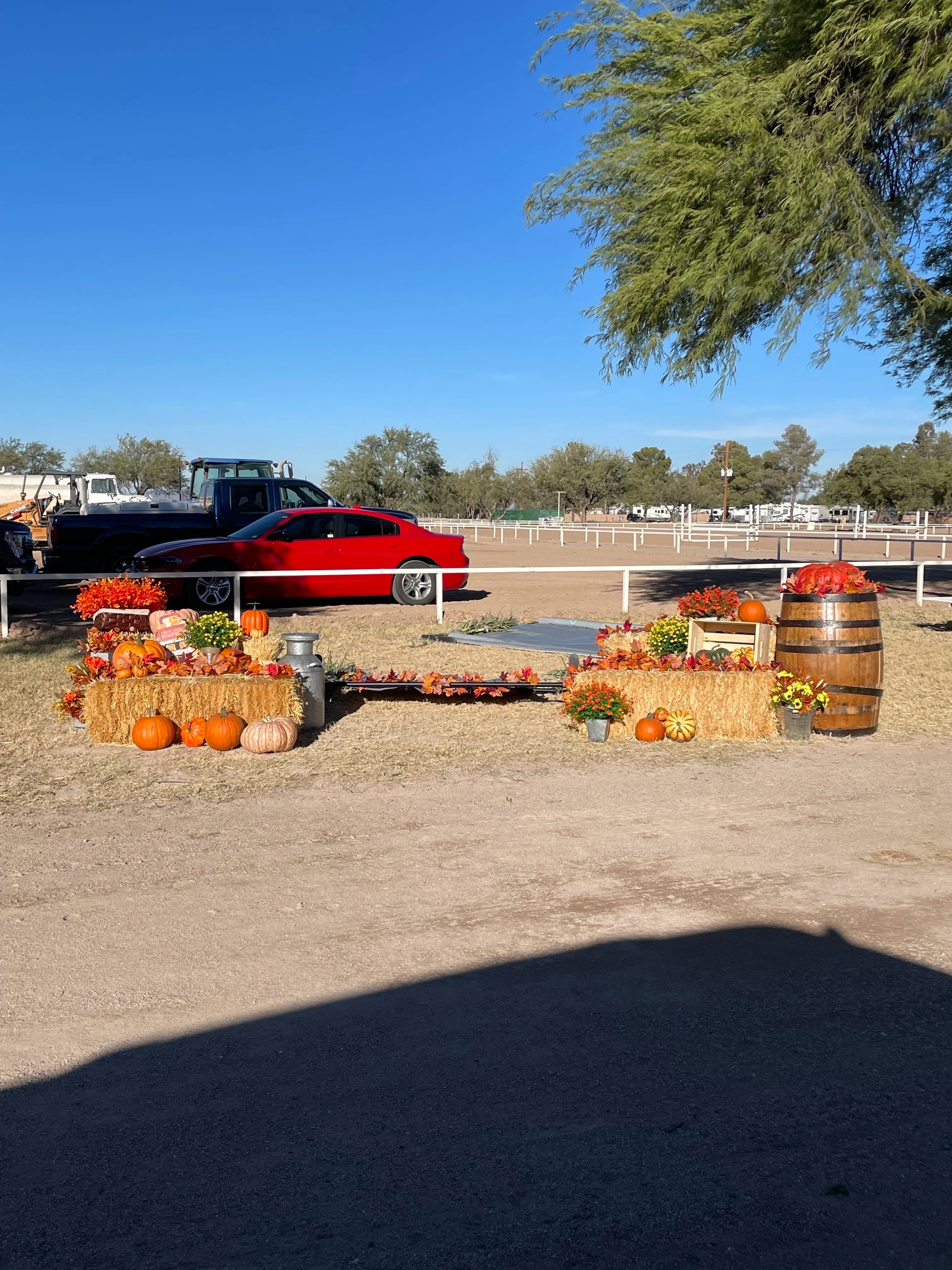 Pumpkin Patch Set Up