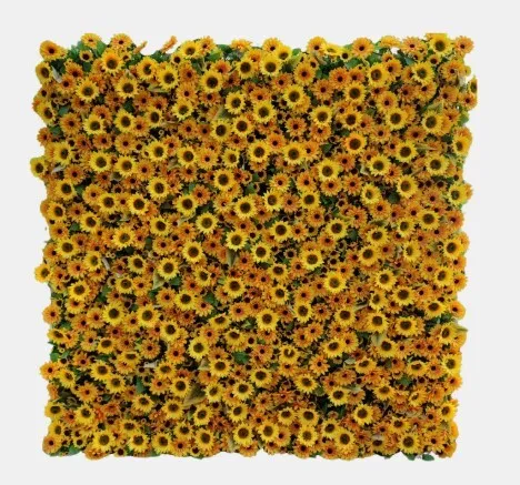 Sunflower Flower Wall