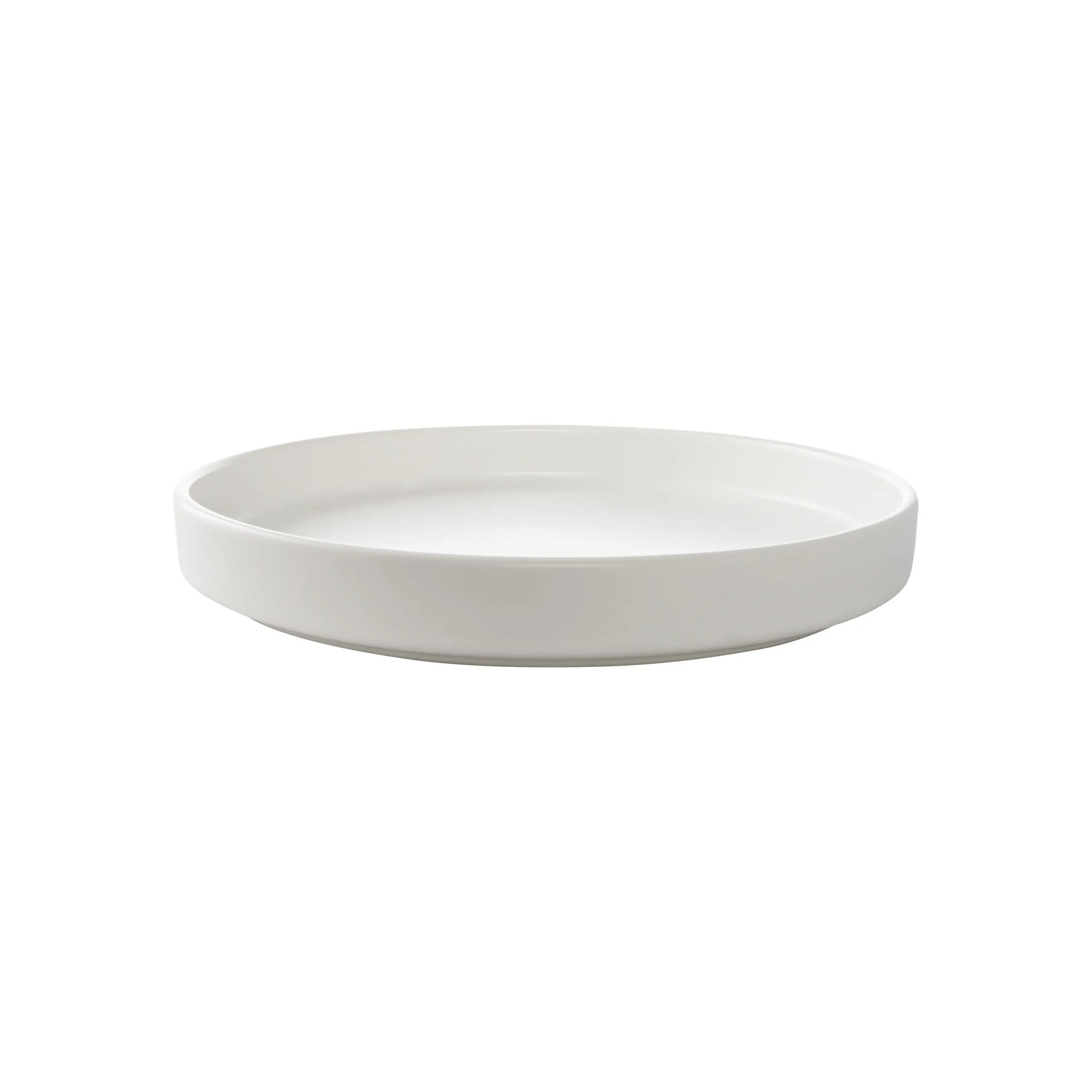 RD65 :: 10" White Matte Modern Rimmed Plate 