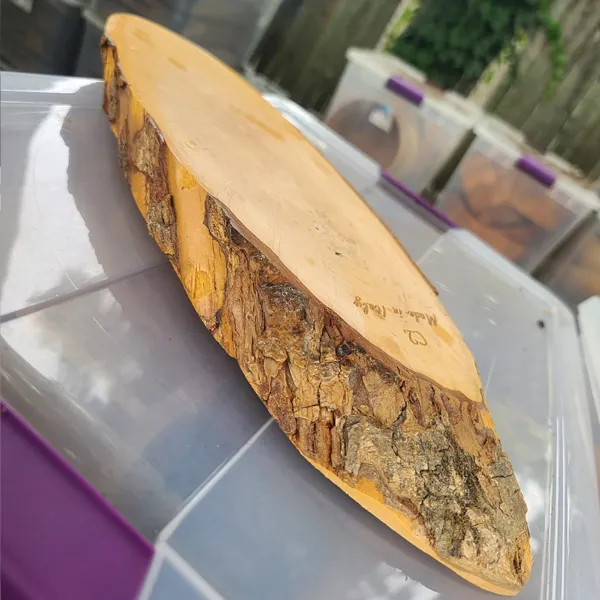 WD39 :: Italian Rustic Wooden Log Board 18" × 7"