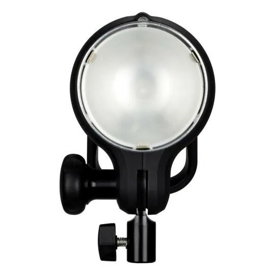 Profoto D1 1000 Single Head 
