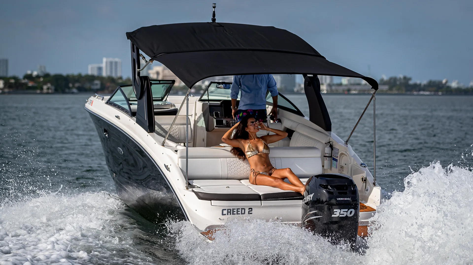 Sea Ray SDX 29