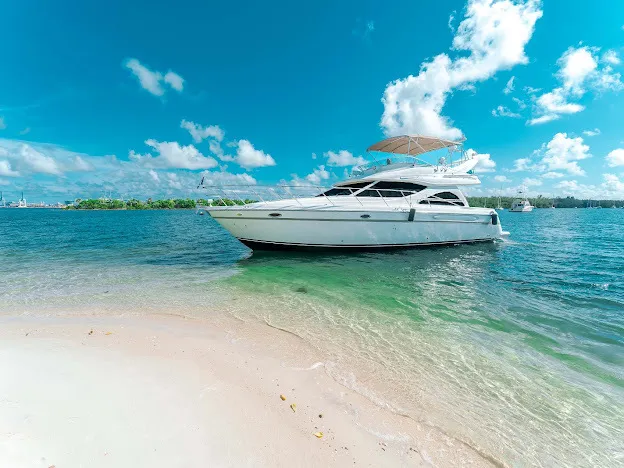 50 Maxum (Exsea Mer) 