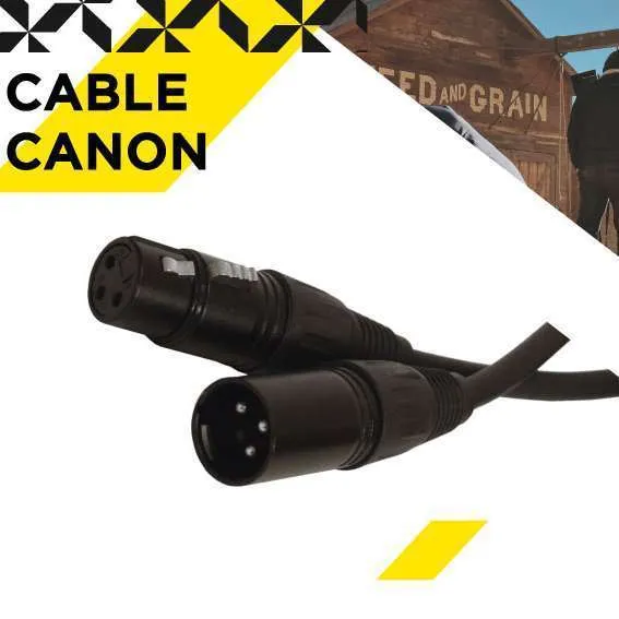 Cable Canon XLR