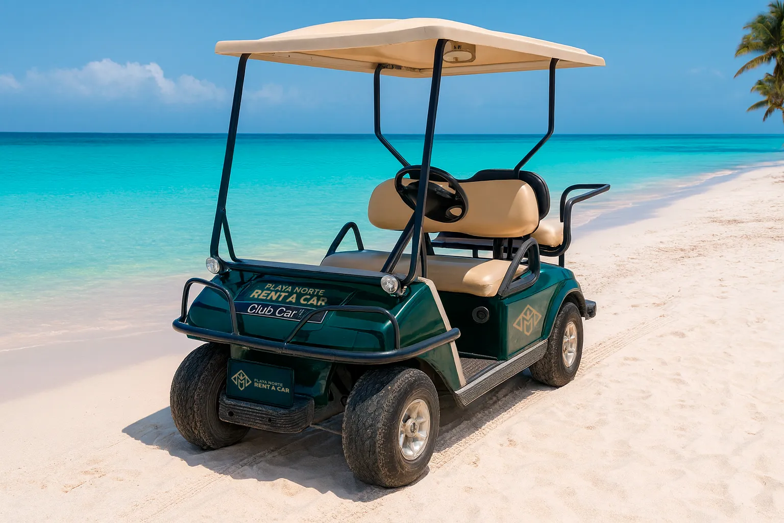 Gasoline Golf Cart 4 Seats Per Hour