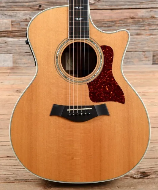 Taylor 810-CE Acoustic Guitar