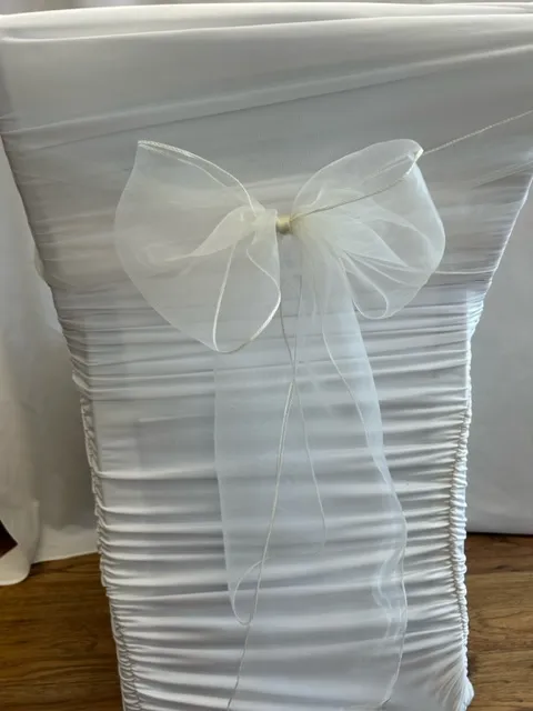Ivory Organza Sash 