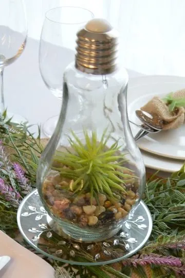 Terrarium Light Bulb Centrepiece 