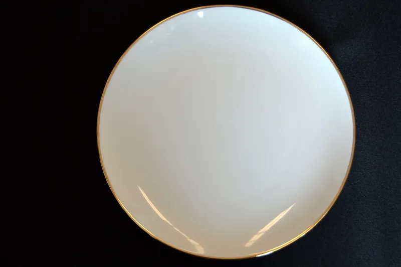  Narrow Gold Rim 10.5" Dinner Plate 