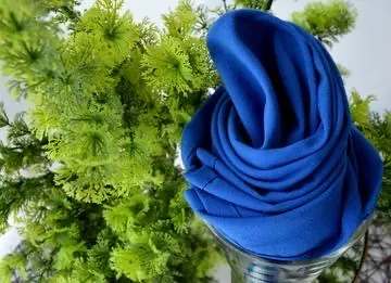 Royal Blue Napkin 