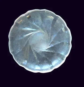 Glass 9.5" dinner plate