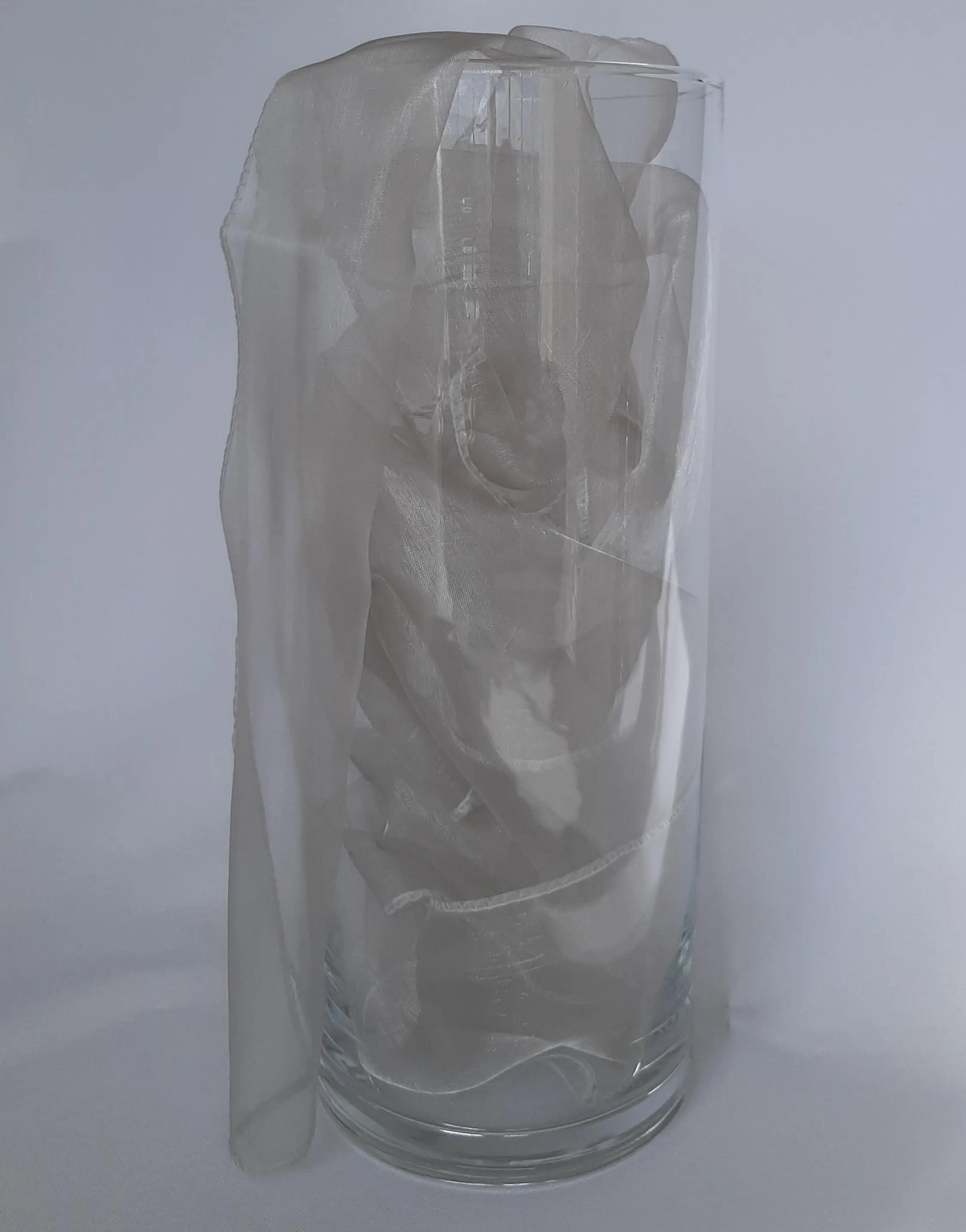 Silver Organza Sash