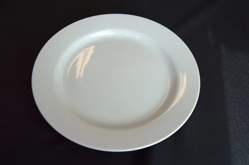 Oneida 10.5" Dinner Plate
