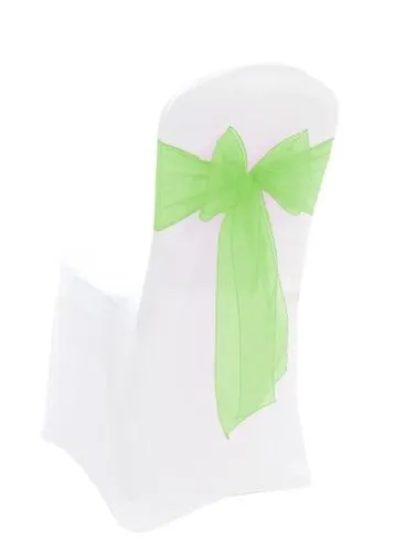 Apple Green Organza Sash 