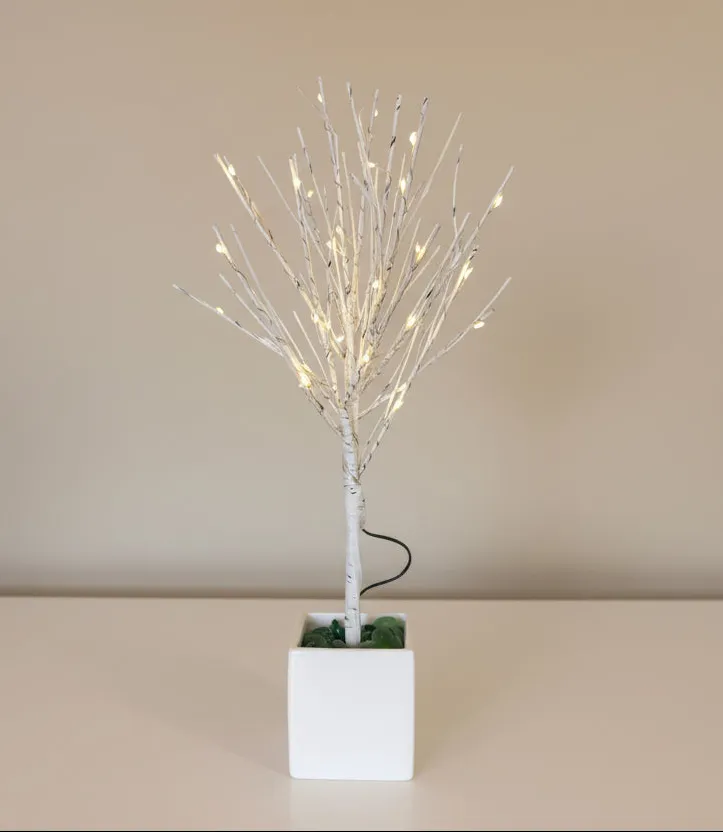 Small Light Up Birch Tree (Batteries Included)