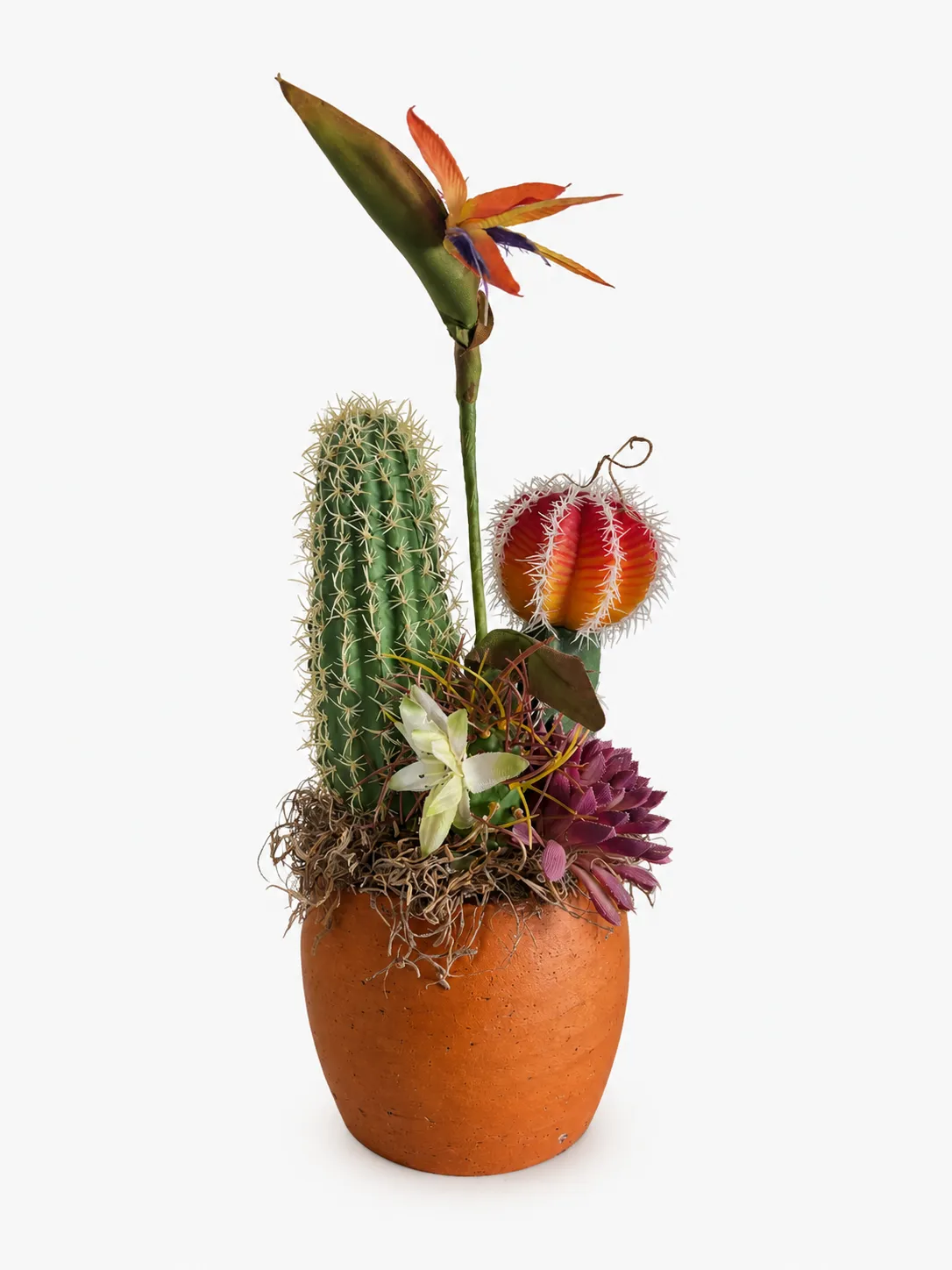 Western Desert Cactus Centrepiece