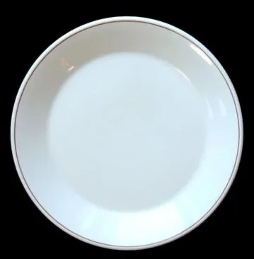 China 10" plate 