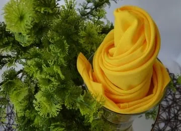Yellow Napkin