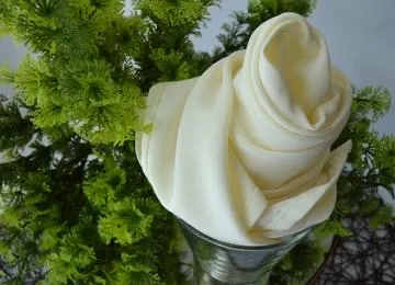 Ivory Napkin 