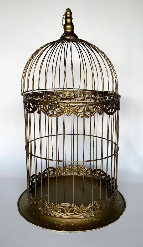 Birdcage Gold 25" X 12.5"